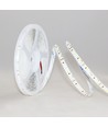 5m 12W/m LED-strip RA97 - 24V DC, IP20, 120 LED per meter