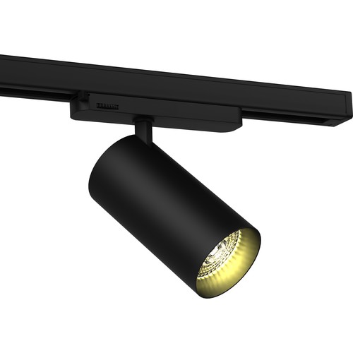30W 3-fas RA90 skenspotlight - 100 lm/W, 36 grader, Svart, Philips LED