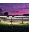 5m 10W/m vattentät LED-strip (Typ X-2) - 230V, IP67, 1300lm/m, kan klippas var 10:e cm, upp till 50m