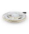 5m 17W/m LED strip, 204 LED per meter - 12V, IP20, 6500K, 120 grader, SMD2835