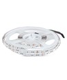 5m 8W/m RGB+3000K LED strip - 12V, IP20, 60 LED per meter