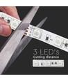 5m 8W/m RGB+3000K LED strip - 12V, IP20, 60 LED per meter
