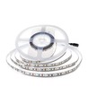 10m 8W/m LED strip, 6500K - 24V, IP20, 120 LED per meter, 750lm/m