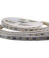 5m RGB+CCT 24W/m LED strip - RGB+2700-6500K, IP65, 24V