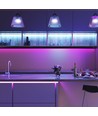 5m RGB+CCT 24W/m LED strip - RGB+2700-6500K, IP65, 24V
