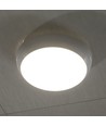 320mm 8W/16W/20W LED bulkhead - Samsung LED chip, IP65, IK08, 3-i-1 CCT, rund, vit kant