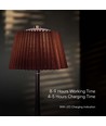 1,5W LED bordslampa, touch dimbar, brun skärm - CCT, laddningsbar, krom, inkl. batteri och USB-C