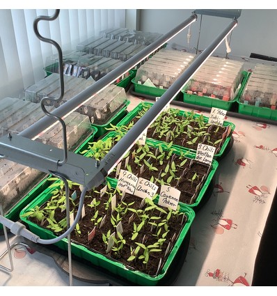 LEDlife Pro-Grow 2.0 Växt set - 2 x 120cm, 36W LED, fullt spektrum (Vitt ljus), IP65