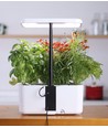 LEDlife hydroponisk köksträdgård - Vit, inkl. växtbelysning, 10 platser, timer, 2,8L vattentank
