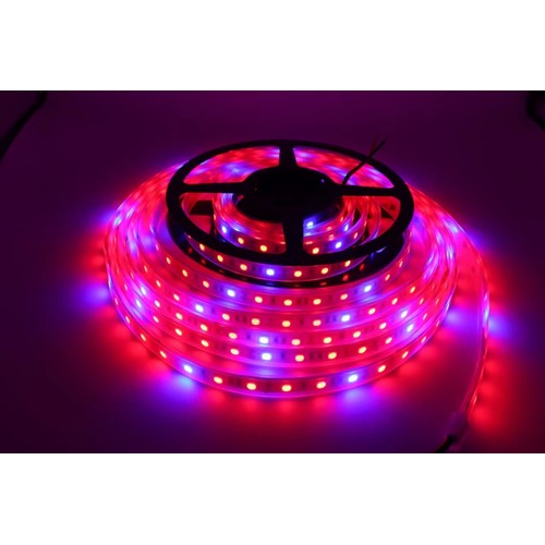 8,5W/m stänktät växt LED-remsa - 5m, 60 LED per meter, 24V DC, IP65