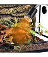 Reptil varmelampe UVA/UVB - 50W, klipsholder