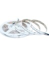 5m 20W/m RGB+WW COB-LED-strip - 24V DC, IP20, 784 LED per meter, COB LED