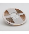 5m 4W/m Dot-free COB-LED-strip RA95 - 24V DC, 2700K, IP20, 320 LED/m, 5 års garanti