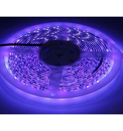 5m 10W/m UV 400 nm LED-strip - 24V DC, IP20, 120 LED per meter