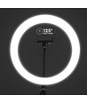 10W LED-RINGLJUS - 10 tum, med bordsstativ, 3200K-5500K