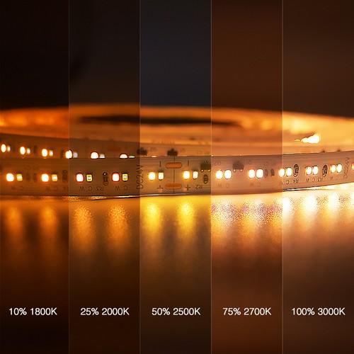 5m 17W/m DimToWarm LED-strip RA95 - 24V, IP20, 224 LED per meter