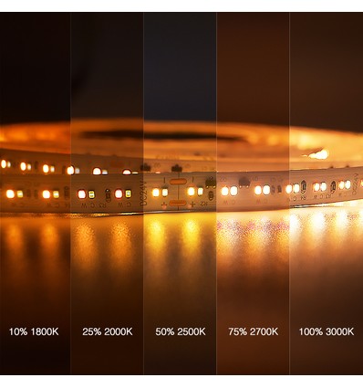 5m 17W/m DimToWarm LED-strip RA95 - 24V, IP20, 224 LED per meter
