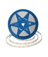 5m 12W/m LED strip, 168 LED/m - 24V, IP20, 6400K, 1650lm/m