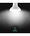 E27 10W R80 LED lampa - Samsung LED chip, 800lm, 120 grader, kallvit