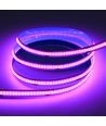 10m 9W/m Lila COB-LED strip - 24V DC, IP20, 320 LED/m
