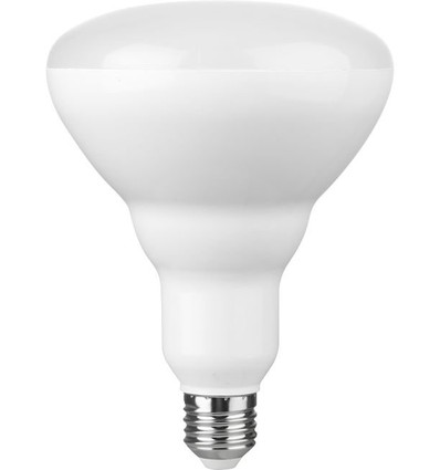 E27 14W dimbar LED-lampa - R120, 1300lm, 2700K