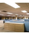 120x30 LED-panel, 40W - 120lm/W, CREE-chip, 6 års garanti, vit ram