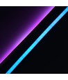5m 16W/m RGBIC Neon Flex strip - 24V DC, IP20, 96 LED per meter, 8x16