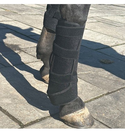 Ljusterapipad för häst - Infrarött och rött ljus, batteri, powerbank ingår