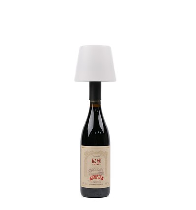 Laddningsbar RGB LED flasklampa - Vit, inkl. fjärrkontroll, IP54 utomhus