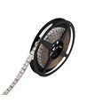 5m 19W/m RGB+CCT LED-strip RA93 - 24V DC, 270 LED per meter, IP20