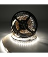 5m 19W/m RGB+CCT LED-strip RA93 - 24V DC, 270 LED per meter, IP20