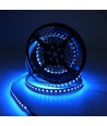 10m 19W/m RGB+CCT LED-strip RA93 - 24V DC, 270 LED per meter, IP20