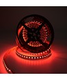 10m 19W/m RGB+CCT LED-strip RA93 - 24V DC, 270 LED per meter, IP20