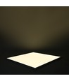 60x60 LED-panel 36W 1-10V dimbar - 116lm/w, UGR19, RA92, vit ram