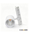 30W 3-fas dimbar RA90 skenspotlight - 170lm/w, vit, CASAMBI