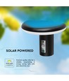 2W LED solcells trädgårdslampa med sensor - IP54, 3000K, svart