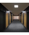 12W LED-sensorlampa, CCT - 3 ljusfärger, PIR-sensor, 6 års garanti, Cree, kvadratisk, vit