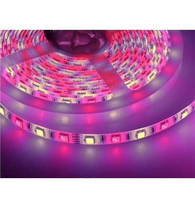 5m 10,8W/m RGB+WW LED-strip - 60 LED per meter